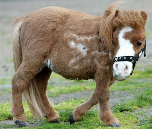 ����� ��������� ������